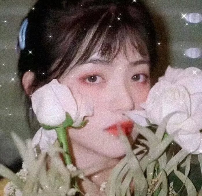 红小鬼 高清封面